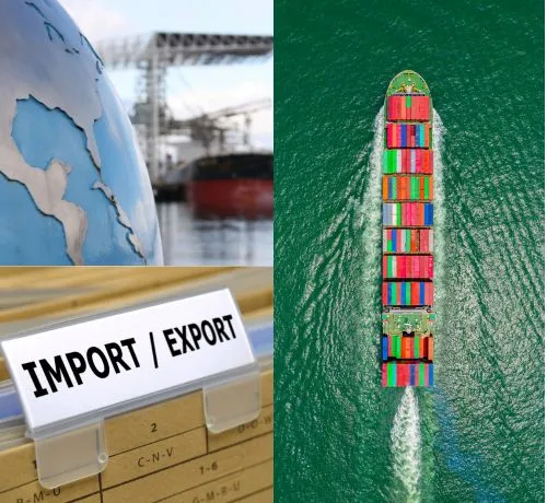 About Import & Export